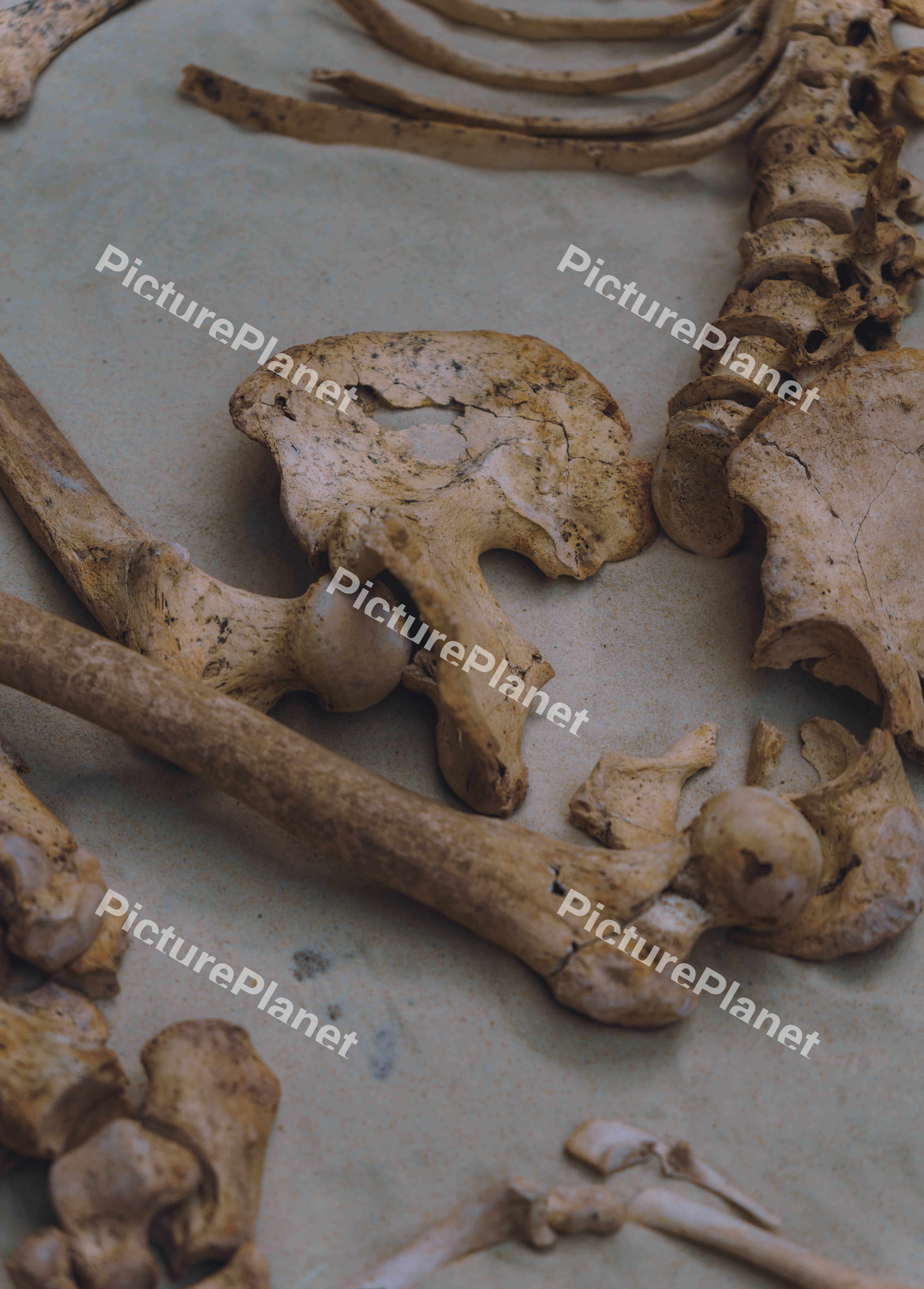 Scattered Remains